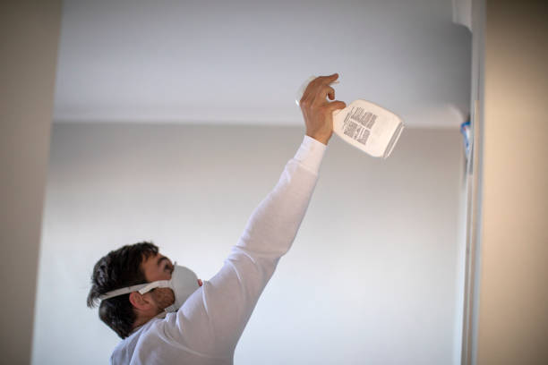 Best Fast Mold Removal  in University, MS