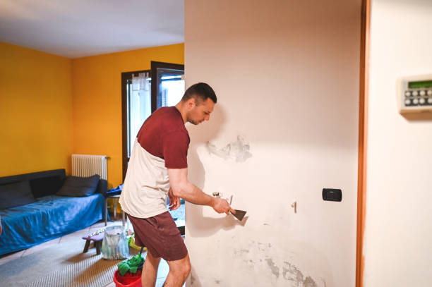 Best Water Damage Restoration  in University, MS